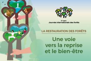 Célébration de la journée internationale des forêts